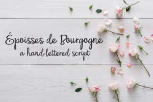 PN Époisses De Bourgogne: A Script Font for Digital Elegance